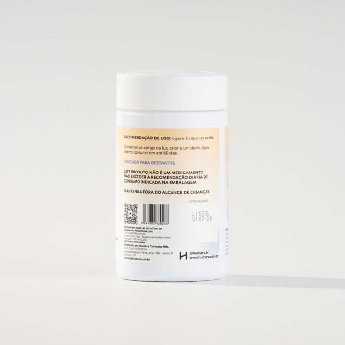 GESTANTE 1º TRIMESTRE - Imagem 2